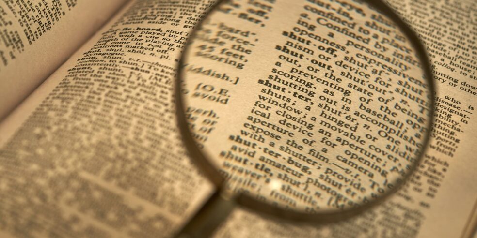 NATIONAL DICTIONARY DAY visual data 3