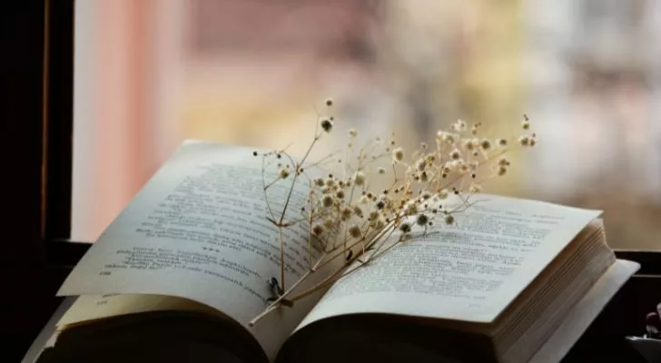 An open book on a windowsill with a flower laid on top of it