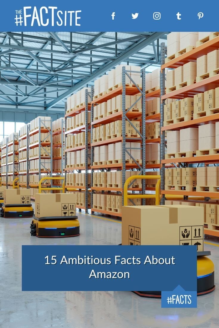 15 Ambitious Facts About Amazon The Fact Site