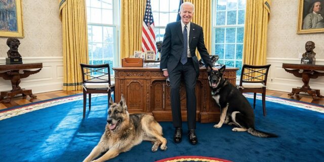 OTD in 2020: Joe Biden slipped while playing with his dog