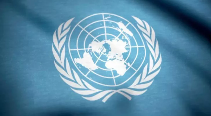 The United Nations logo on a blue flag