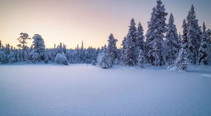 A winter landscape at sunset with snow covered trees