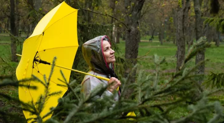 A woman with a bright yellow umbrella walking through a forest