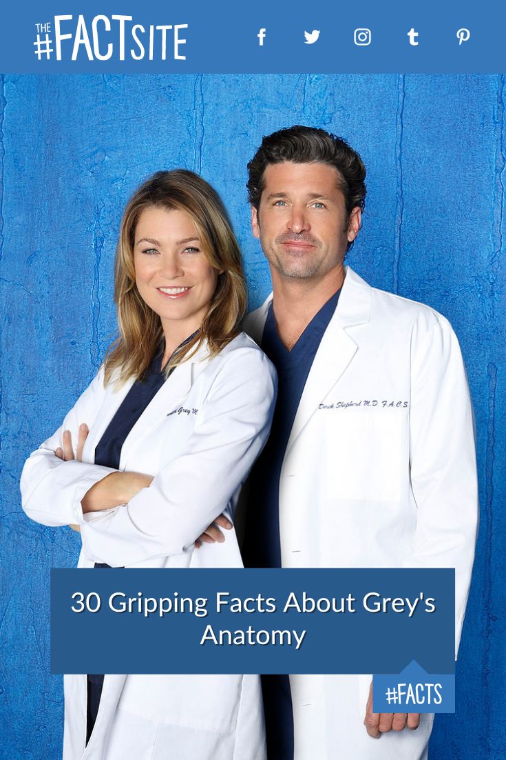 30 Gripping Facts About Grey's Anatomy - The Fact Site