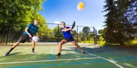 Pickleball Facts
