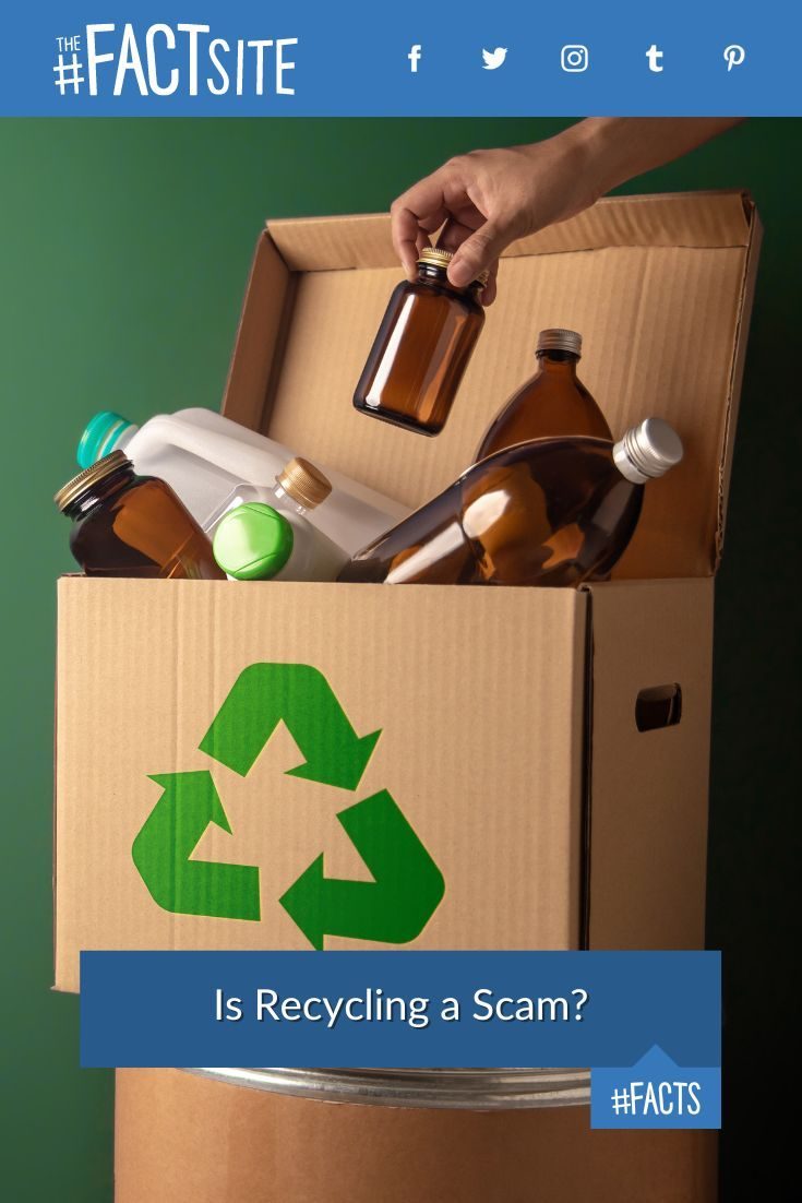 Is Recycling A Scam The Fact Site Is Recycling A Scam The Fact Site