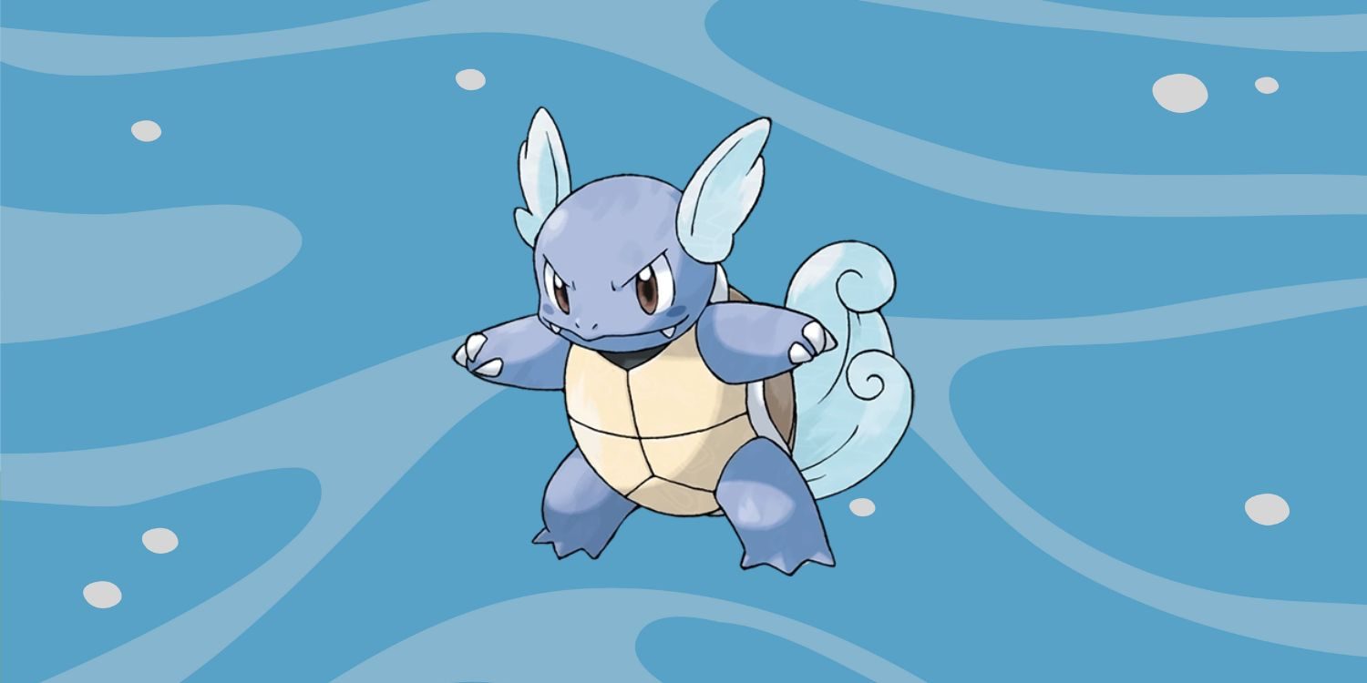 15 Wild Facts About Wartortle Pok mon The Fact Site 15 Wild Facts About Wartortle Pok mon The Fact Site