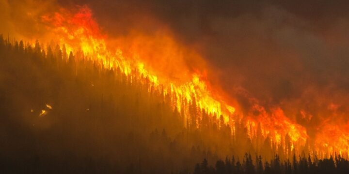 OTD in 1871: Wisconsin was struck by the deadliest wildfire in US history.