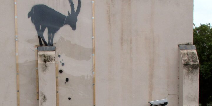 OTD in 2024: British graffiti artist Banksy created the first in a series of animal artworks in London.