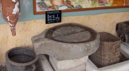 15 Fun Facts About Olive Oil That May Surprise You - The Fact Site