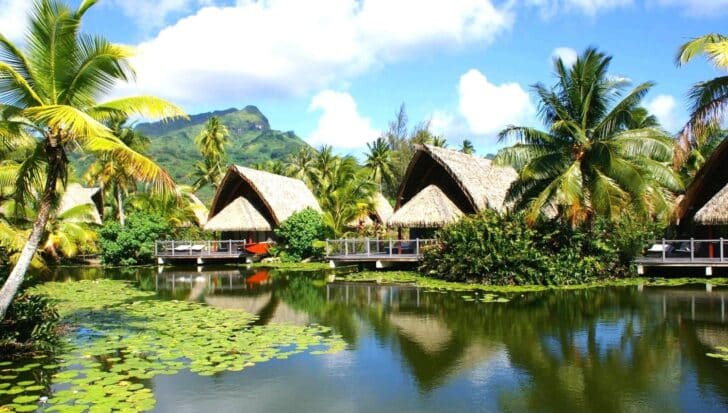 Traditional Polynesian huts surrounded by lush greenery and palm trees on an island, reflecting in calm waters with lily pads