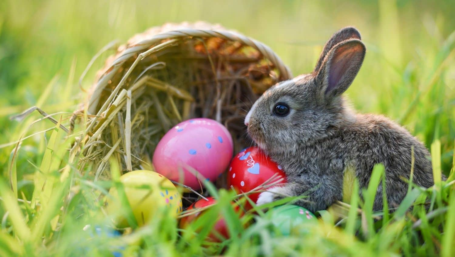 100 Fun Facts About Easter That'll Egg-spand Your Mind - The Fact Site