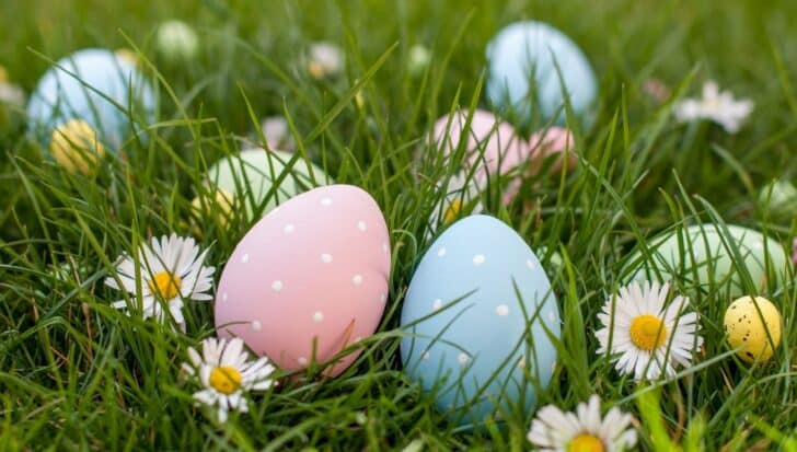 Colorful Easter eggs with polka dots nestled in grass among daisies