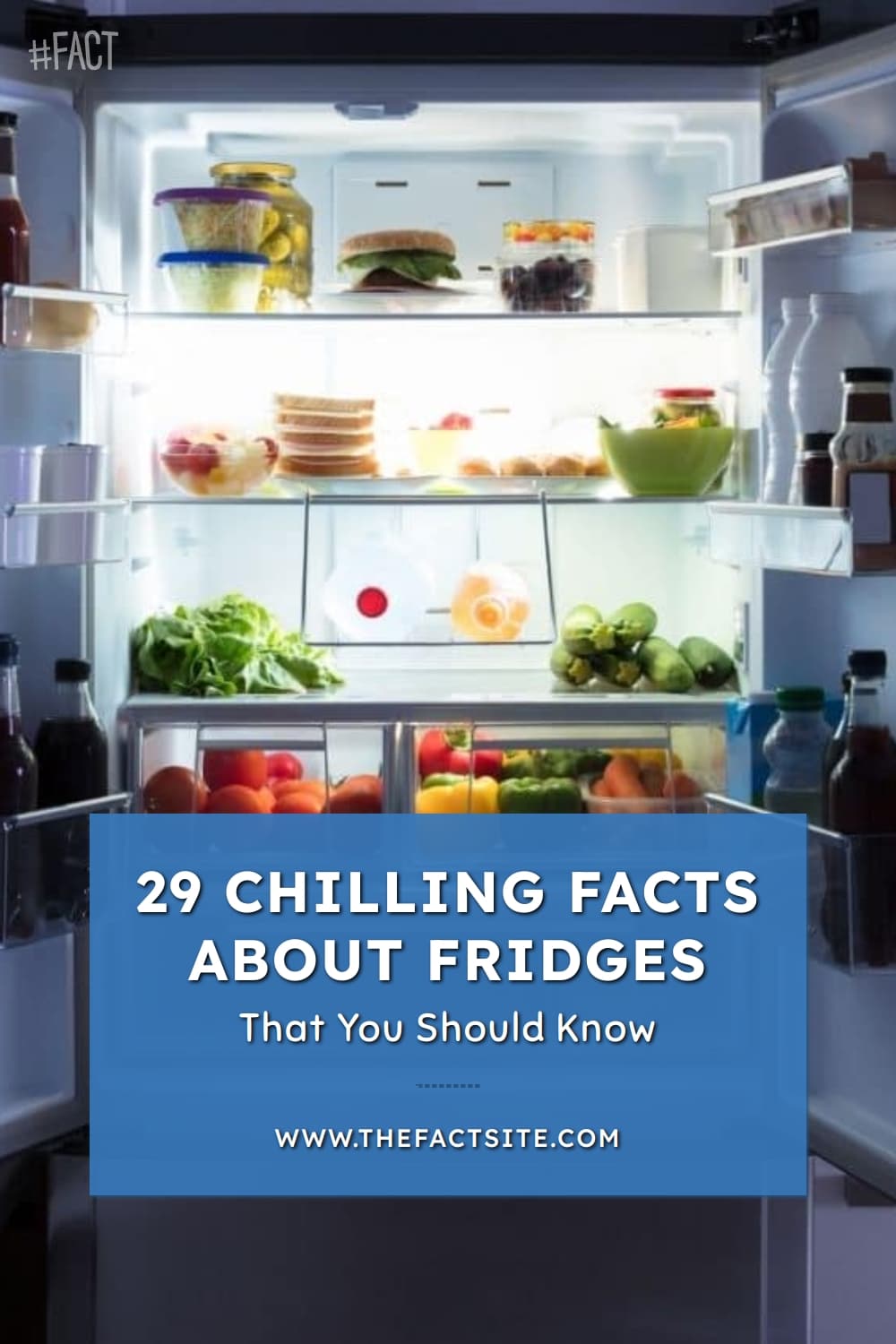 Fridge Introduction 29 Chilling Facts About Fridges That You Should Know - The Fact Site
