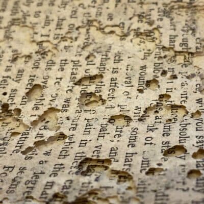 Damaged book pages with numerous holes and text partially eaten by bookworms