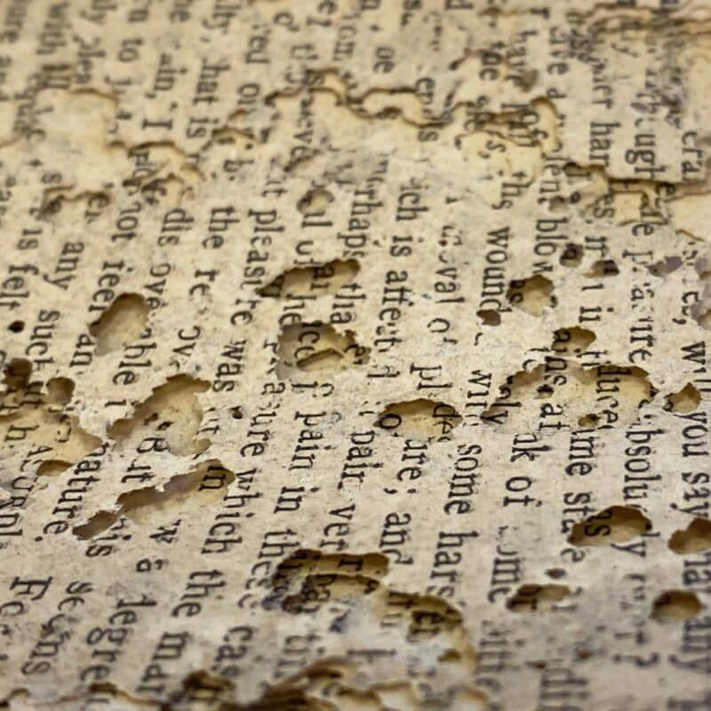 Damaged book pages with numerous holes and text partially eaten by bookworms