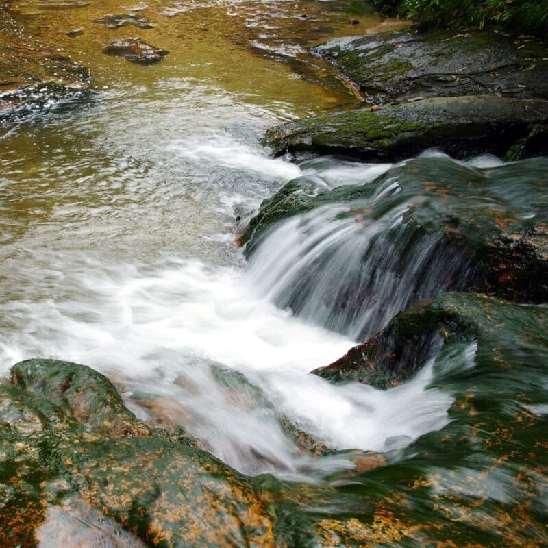 Stream with rocks creating flowing water and small vortices