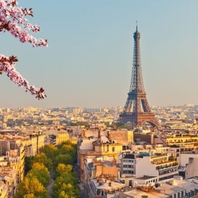 Eiffel Tower overlooking Paris cityscape with blooming cherry blossoms in the foreground
