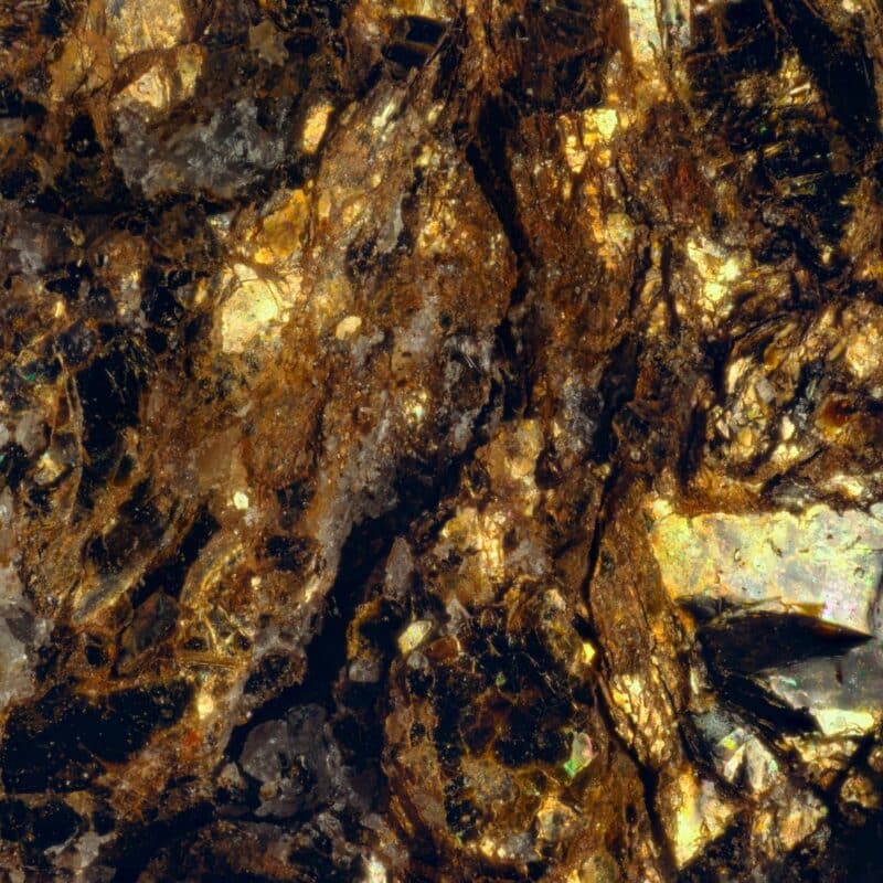 Close-up of gold-bearing rock from the Witwatersrand plateau in South Africa