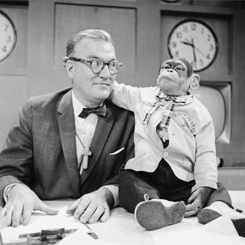 NBC’s Today Show co-host J. Fred Muggs, a chimpanzee, wearing a plaid tie and shirt