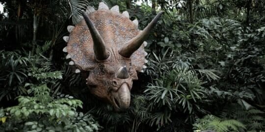 Triceratops sculpture surrounded by lush greenery