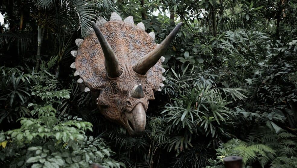 10 INTRIGUING TRICERATOPS FACTS visual data 2