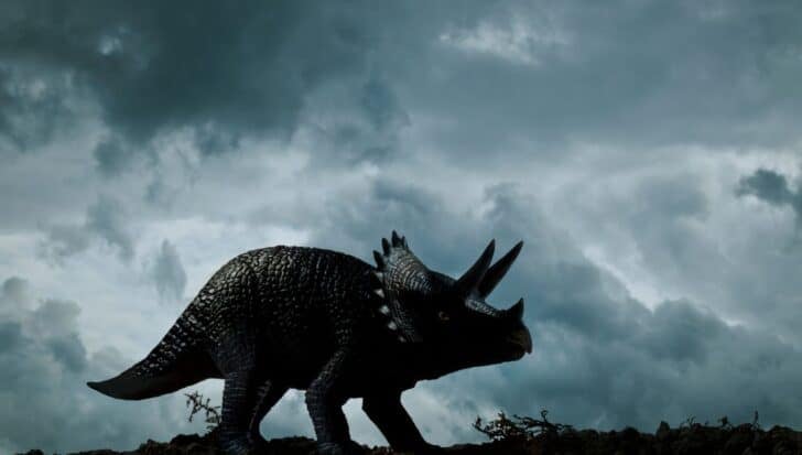 A Triceratops standing against a cloudy sky, illustrating its size comparison to an elephant