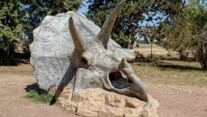 Triceratops sculpture showing its distinctive three-horned face located outdoors among trees and grass