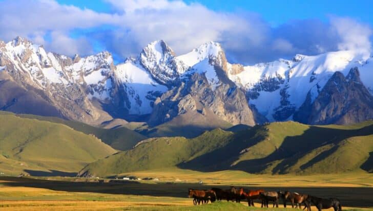 Snow-capped mountains in Kyrgyzstan with a grassy valley and a group of horses in the foreground