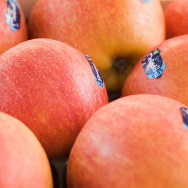 Several apples with fruit stickers