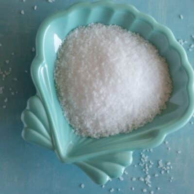 White coarse kosher salt in a teal, scallop-shaped dish