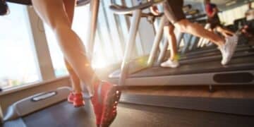 People running on treadmills in a gym with sunlight streaming through windows