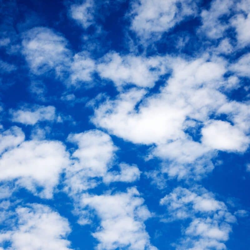 A sky filled with scattered white cumulus clouds