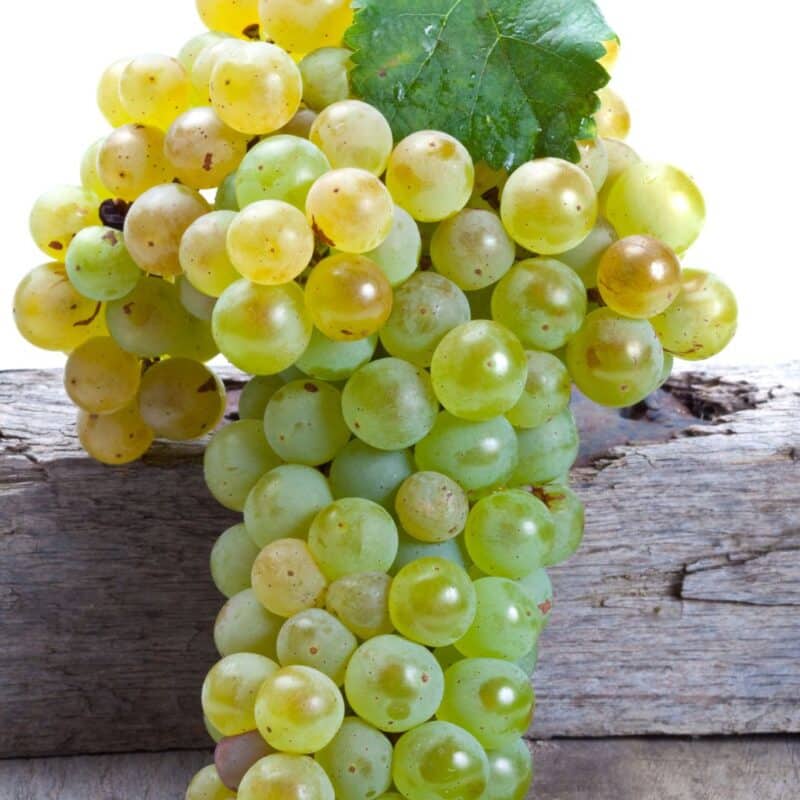 Close-up of a cluster of green Cotton Candy grapes resting on a piece of weathered wood