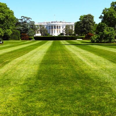 The White House, with a large, well-manicured lawn in the foreground