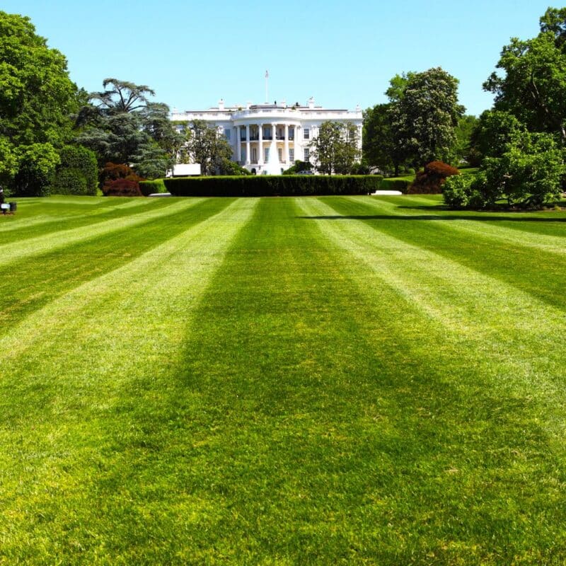 The White House, with a large, well-manicured lawn in the foreground