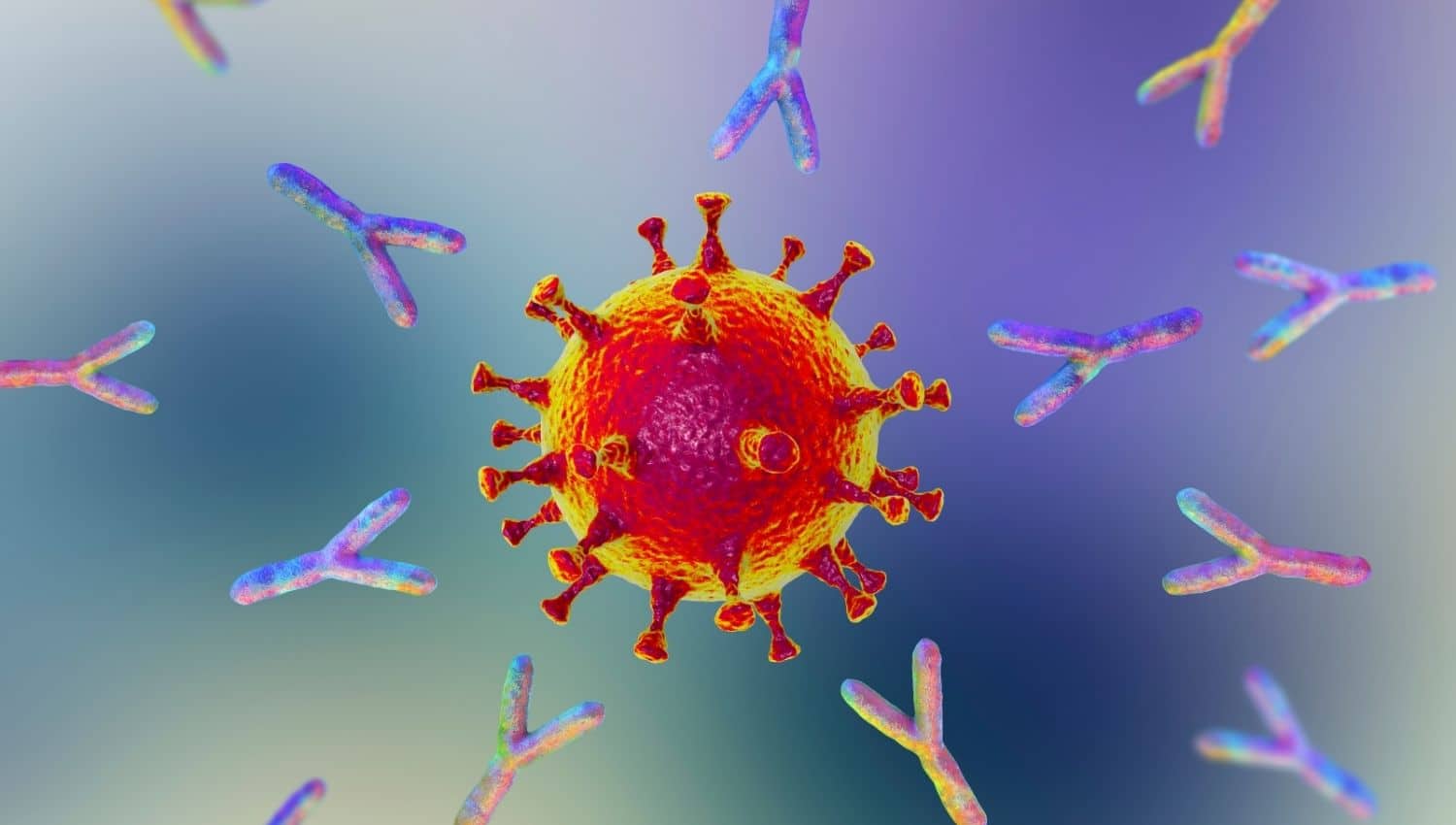 Can You Actually Boost Your Immune System? - The Fact Site