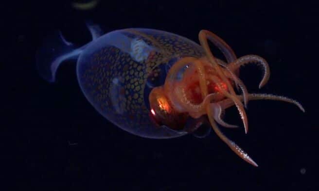 OTD in 2025: For the first time