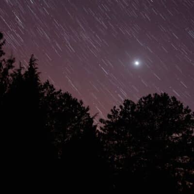 Long-exposure star trails above silhouetted trees with bright planet Venus visible