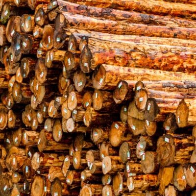 Stack of cut timber logs with identification tags