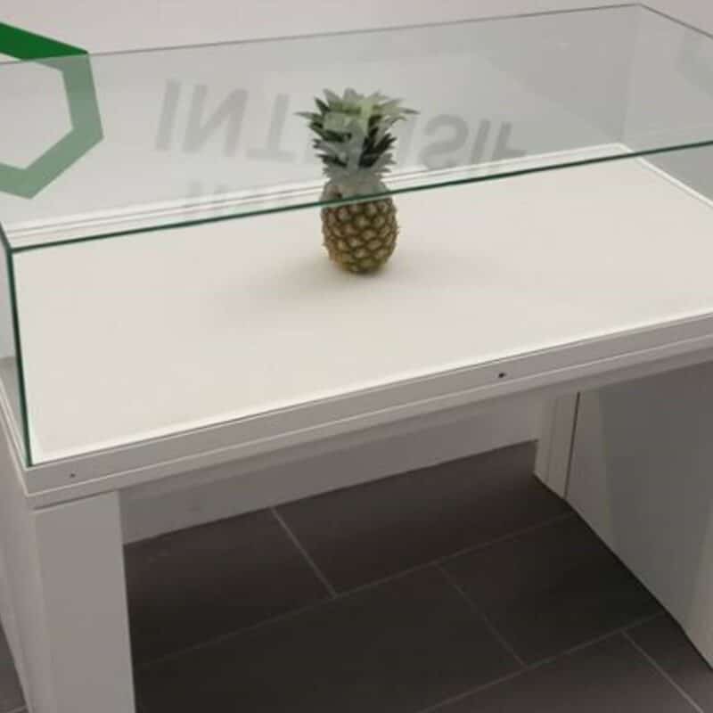 A pineapple displayed inside a glass case on a white pedestal table at an art museum in Scotland