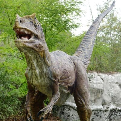 Realistic dinosaur model with open mouth among trees and rocks