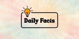 A light bulb icon above the words Daily Facts on a colorful pastel background