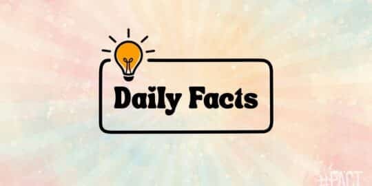 A light bulb icon above the words Daily Facts on a colorful pastel background