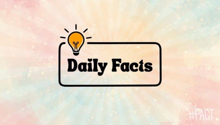 A light bulb icon above the words Daily Facts on a colorful pastel background