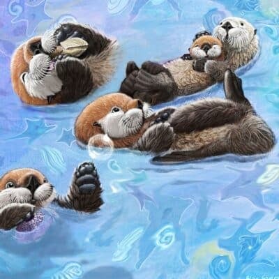 Sea otters floating on water, some cradling pups on their chests