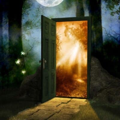 Open door in a dark forest leading to a glowing, sunlit path