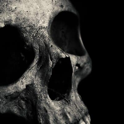 Close-up of a weathered human skull in dramatic lighting