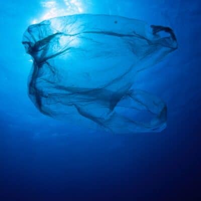 Plastic bag floating underwater in deep blue ocean