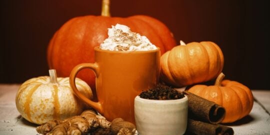 10 Basic Facts About Pumpkin Spice You’ll Love This Fall